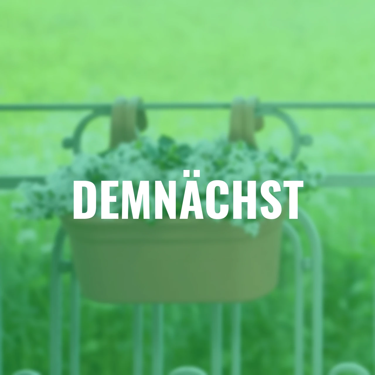 Hängetopf Green Basics terracotta