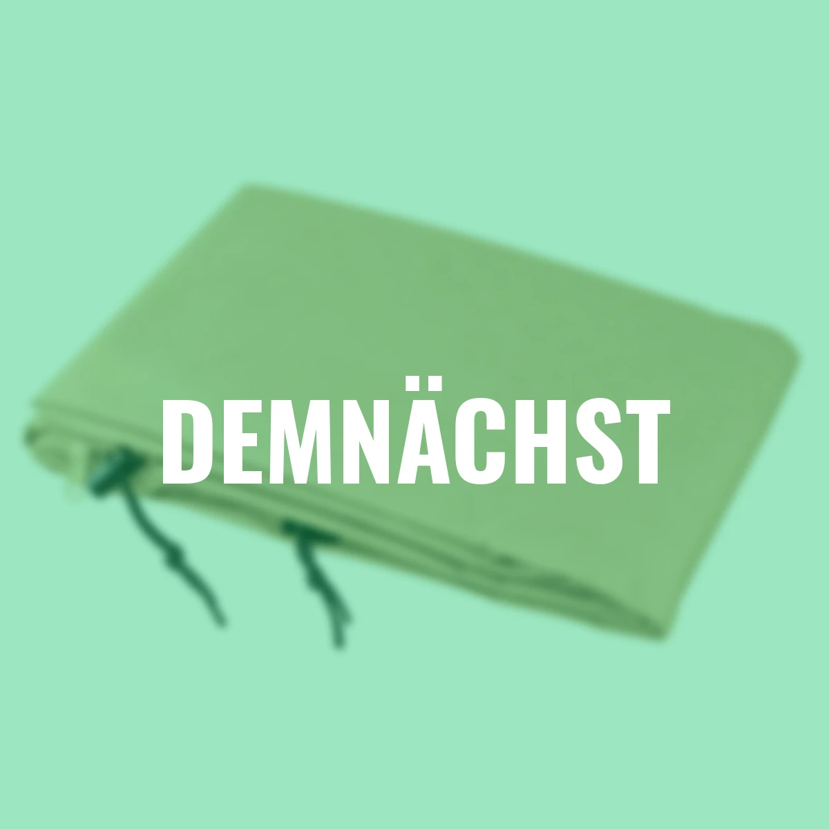 Winterschutz Sack, 250x350cm