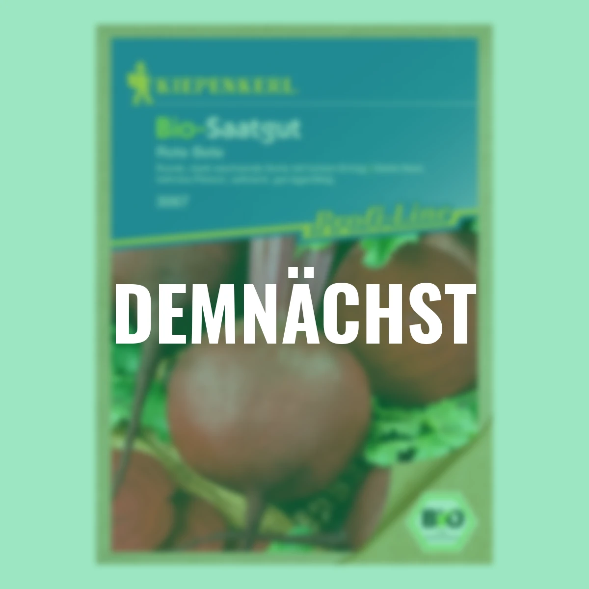 BIO Rote Bete Samen Rote Kugel 2/Selektion Sturoman