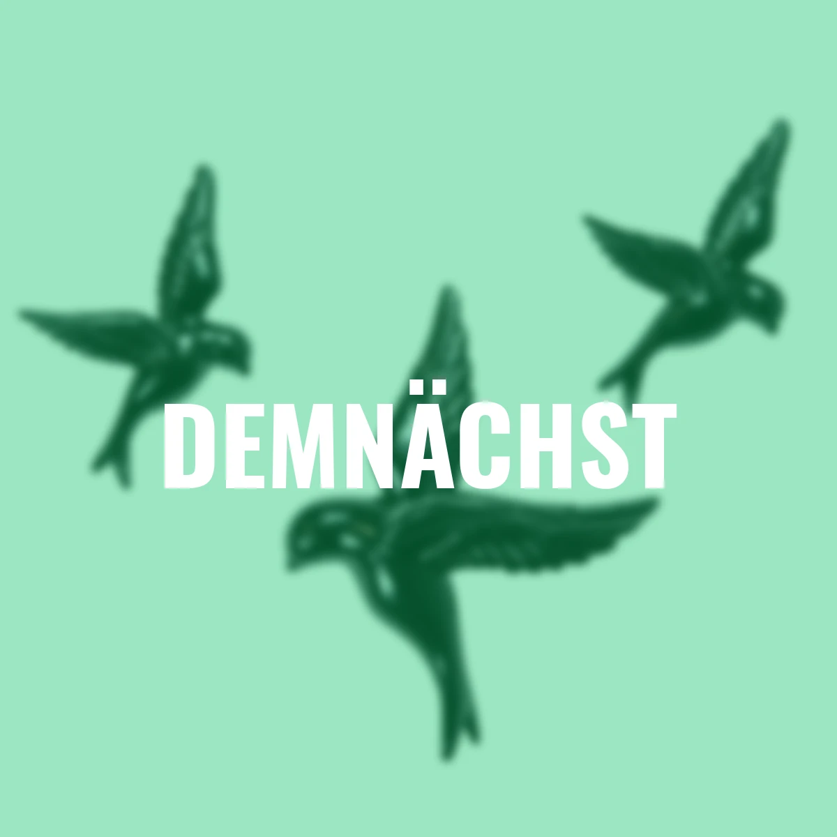 Deko-Vögel, 3er Set, schwarz