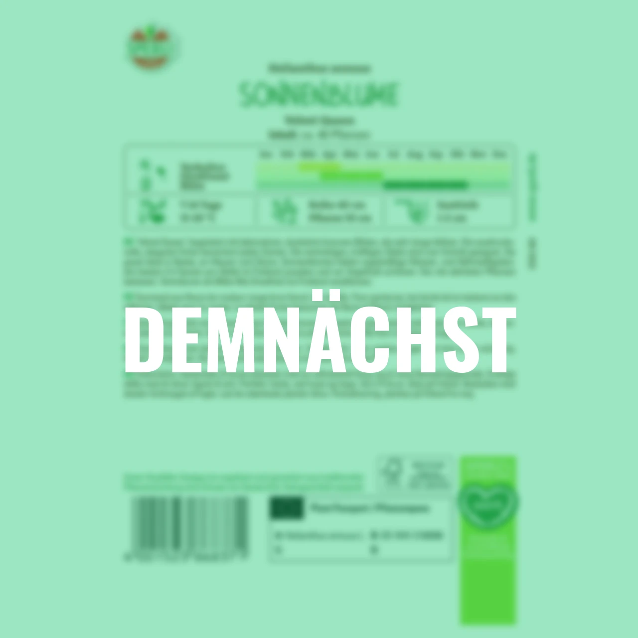 Sonnenblumensamen Velvet Queen