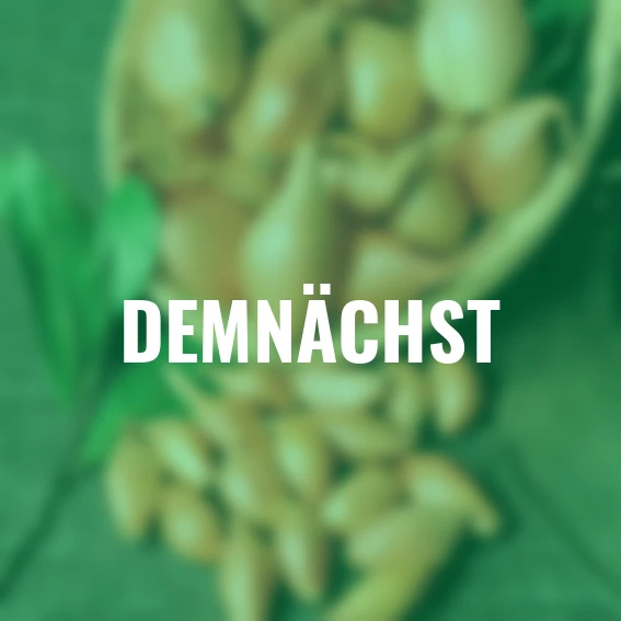 Winterschalotten Griselle, 250 g