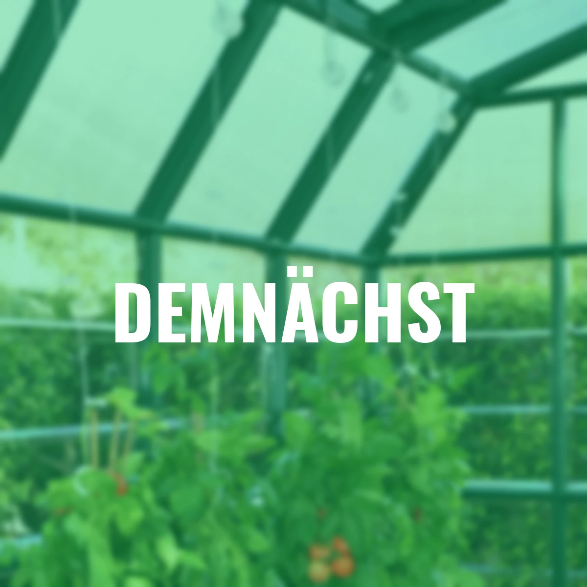 Komplett-Set Pflanz- und Rankspulen, mit 6 Rollen & Zubehör, 84-teilig