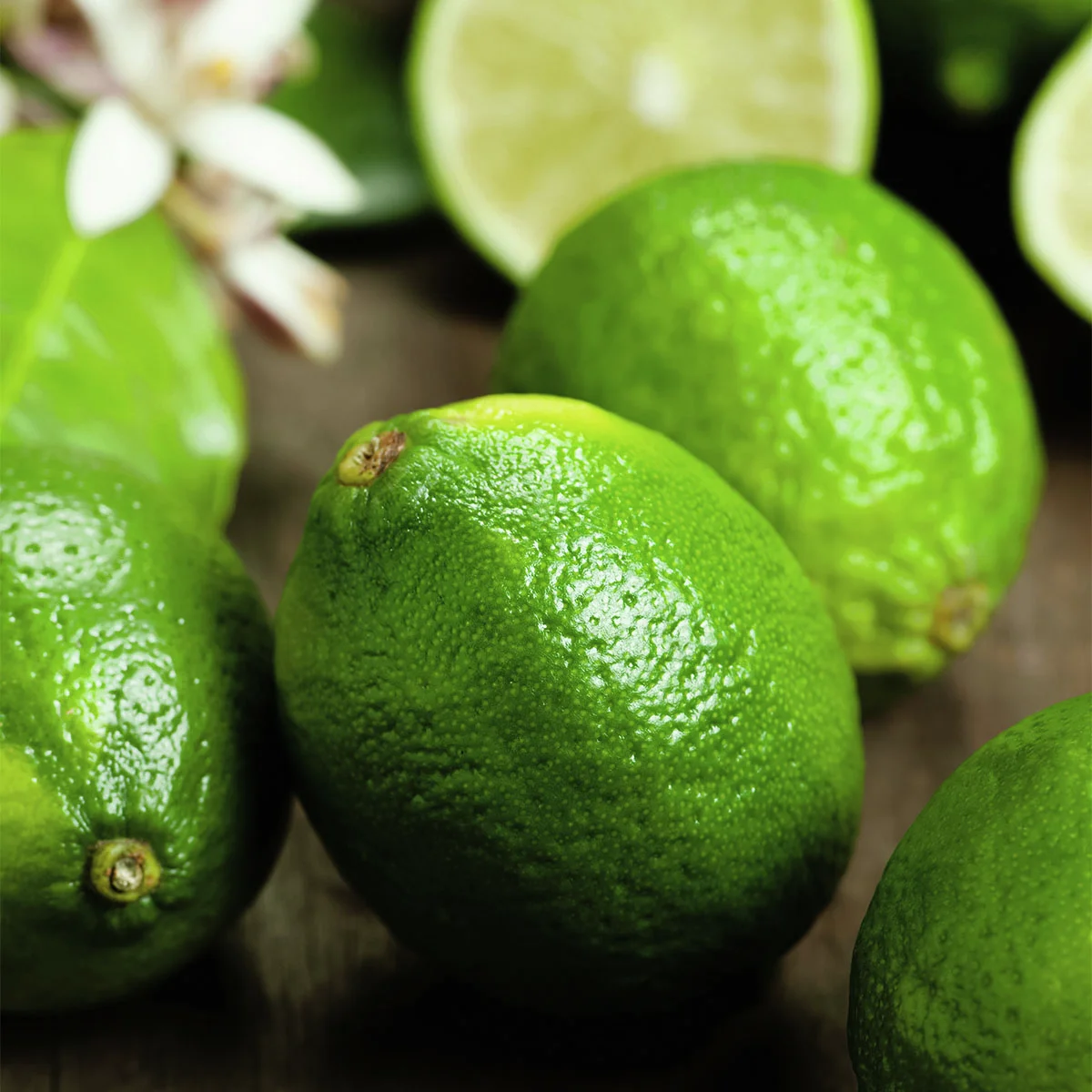 Grüner Limetten-Stamm, im ca. 19 cm-Topf