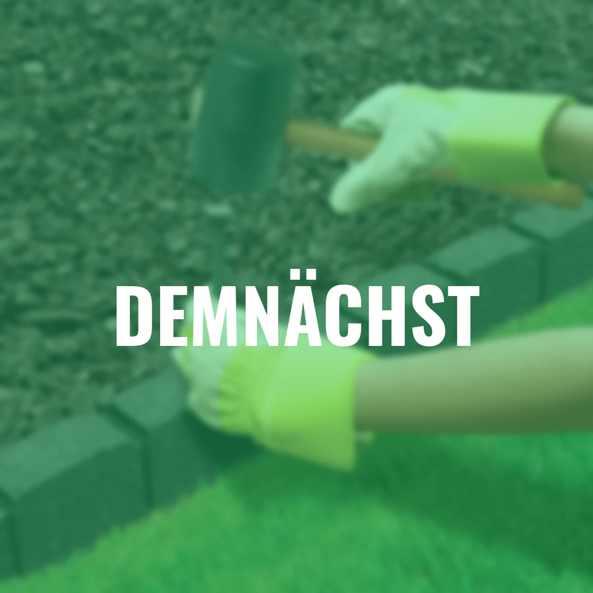 Rasenkante Stein 4er-Set, 480 cm, grau