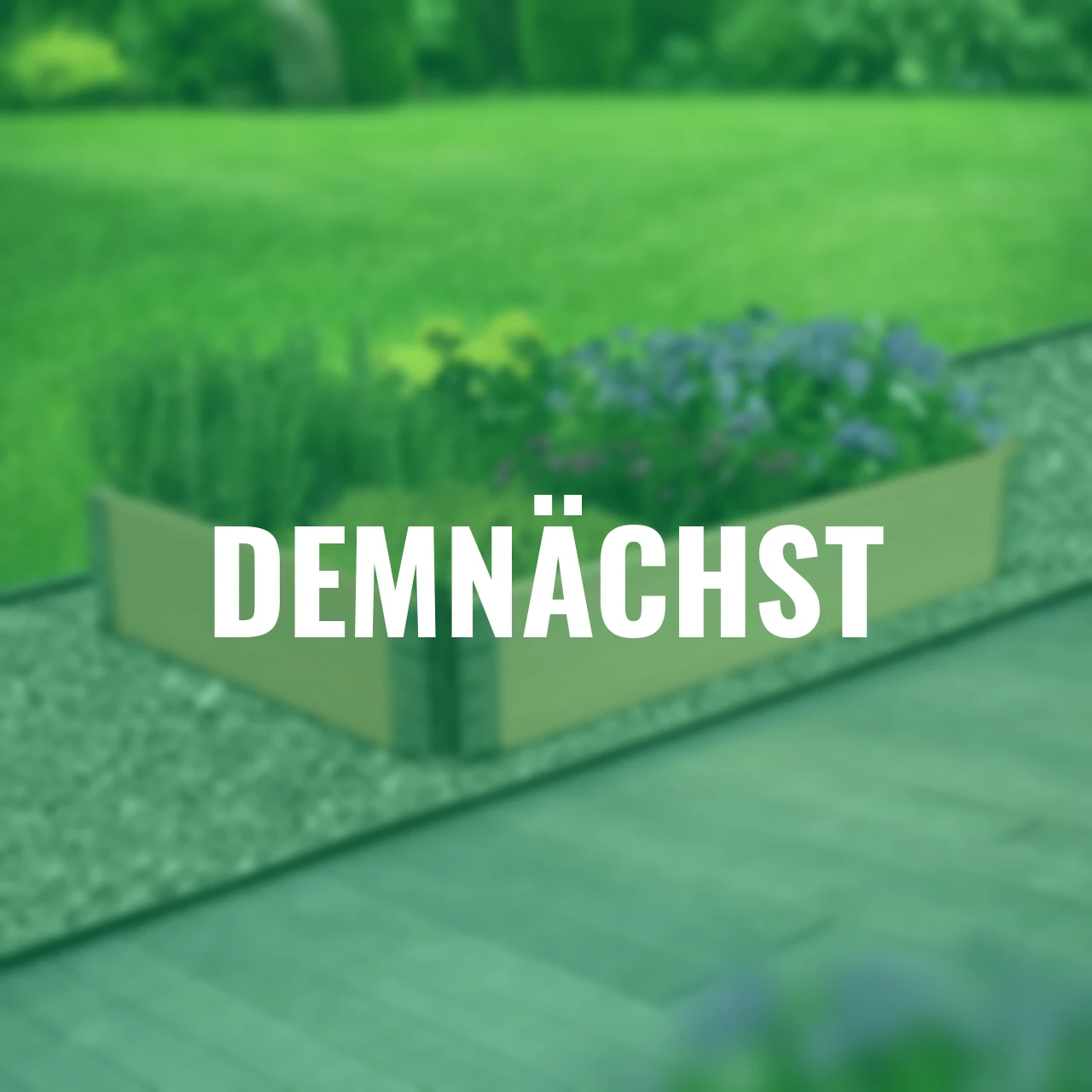 Frühbeet-Umrandung, braun