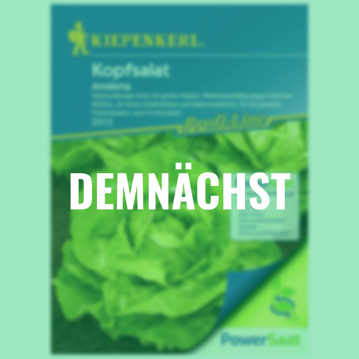 Kopfsalat Analena PowerSaat