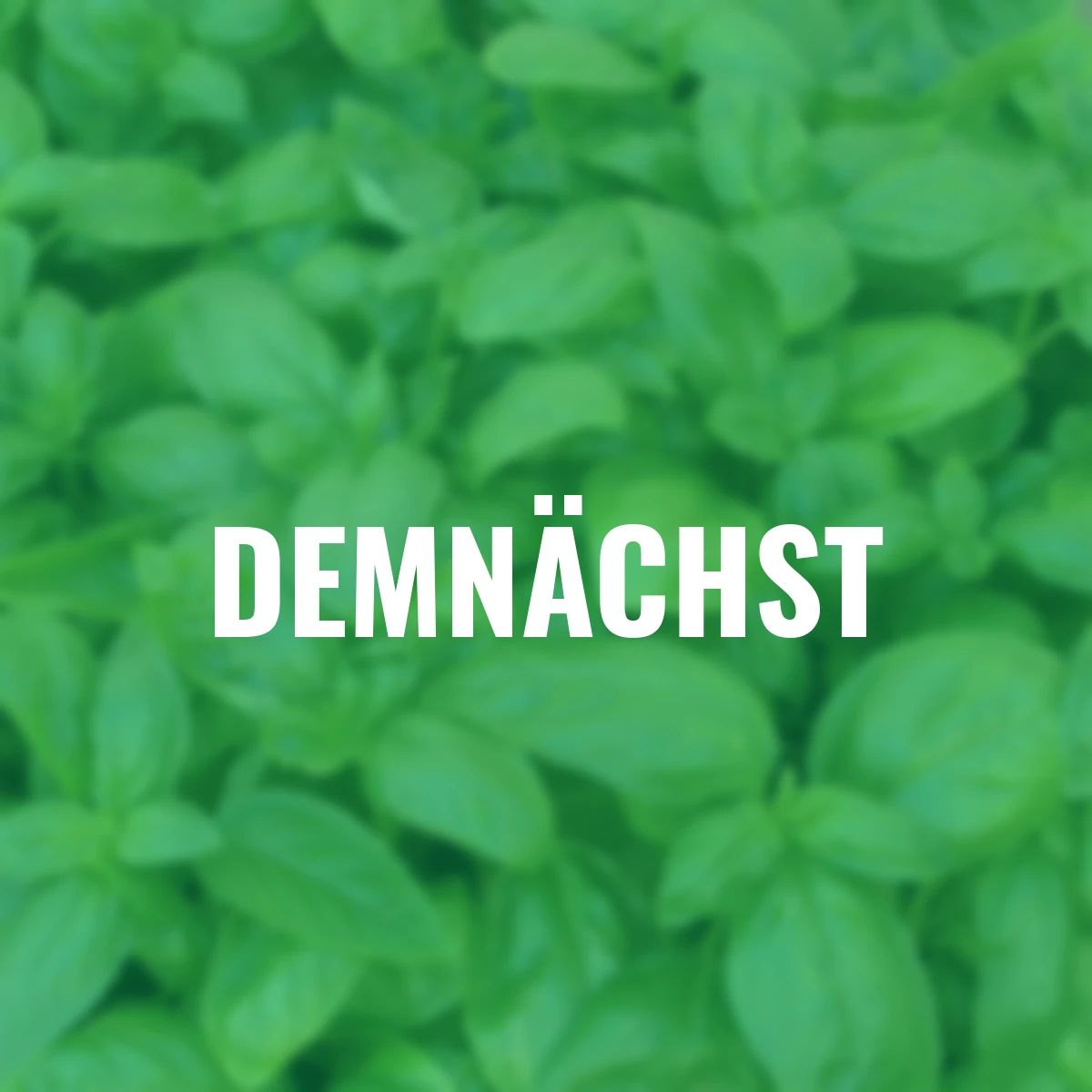 Saatgut-Holzbox Kräutergarten, 7 Saatgut-Sorten