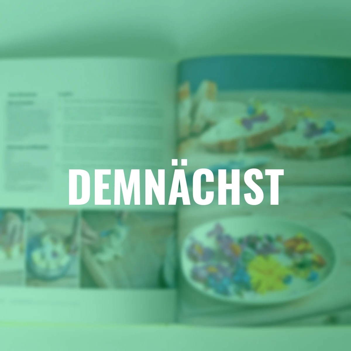 Projekte zum Anpacken