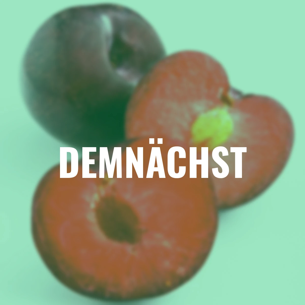 Rotfleischige Pflaume Vampira