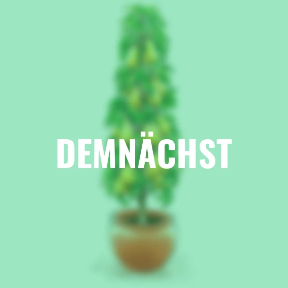 Säulen-Birne Obelisk®