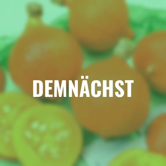 BIO Hokkaido Speisekürbissamen