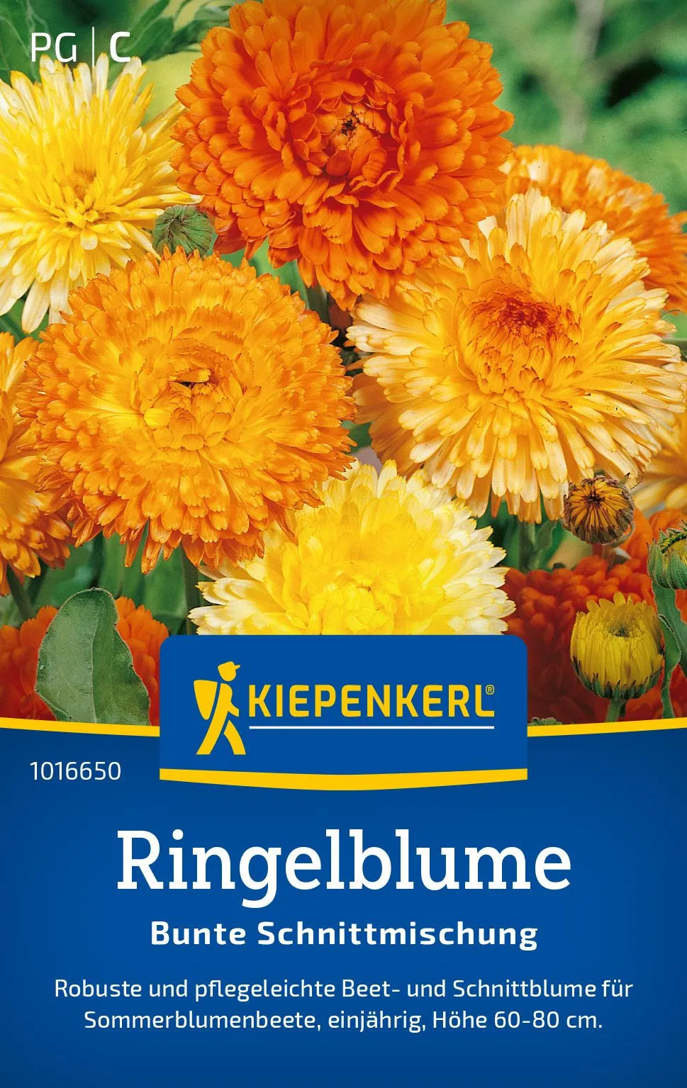 Ringelblume Prachtmischung