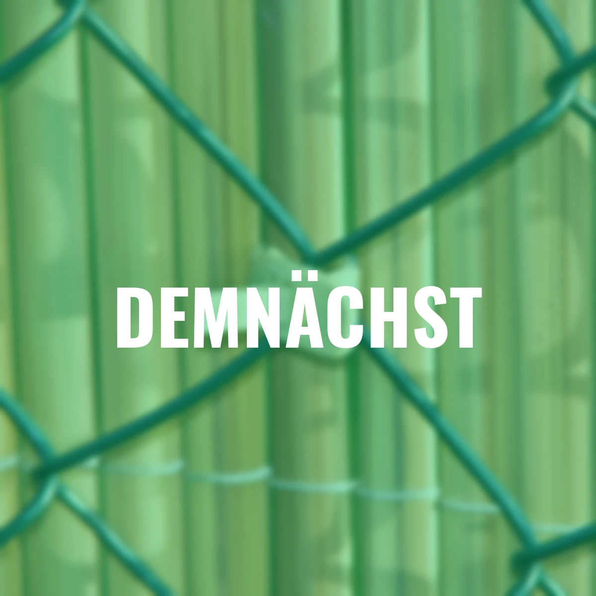 Universalbinder, flexibel, 20 Stück