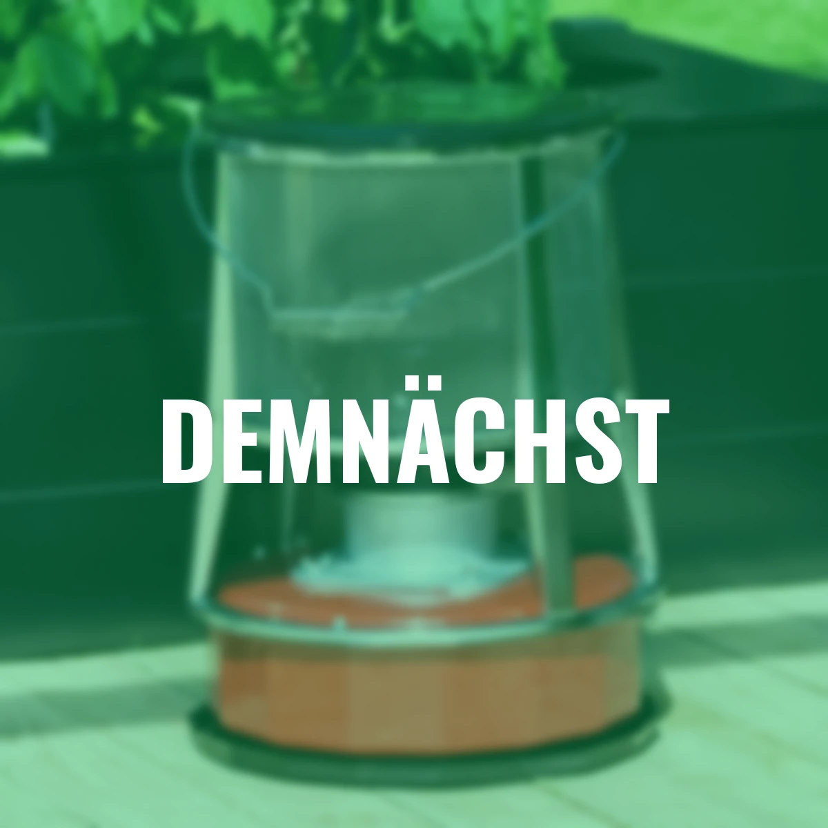 Petroleum Gewächshausheizung