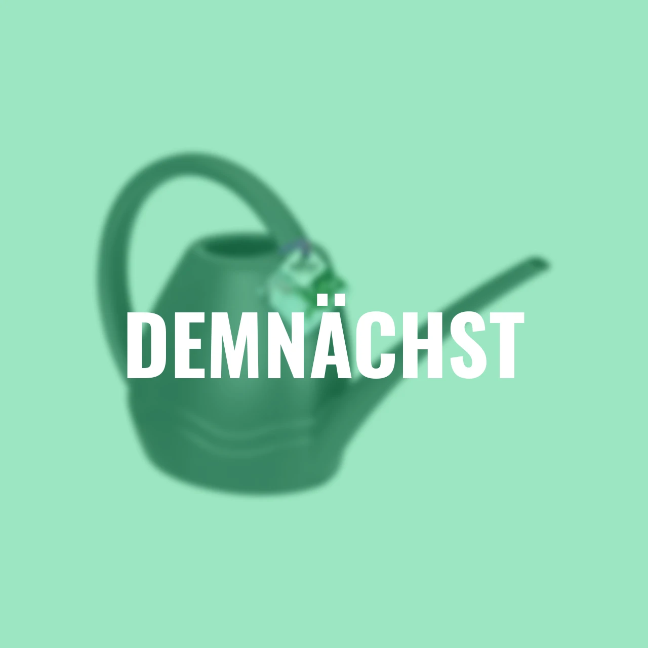 Gießkanne Aquarius 3,5 L anthrazit