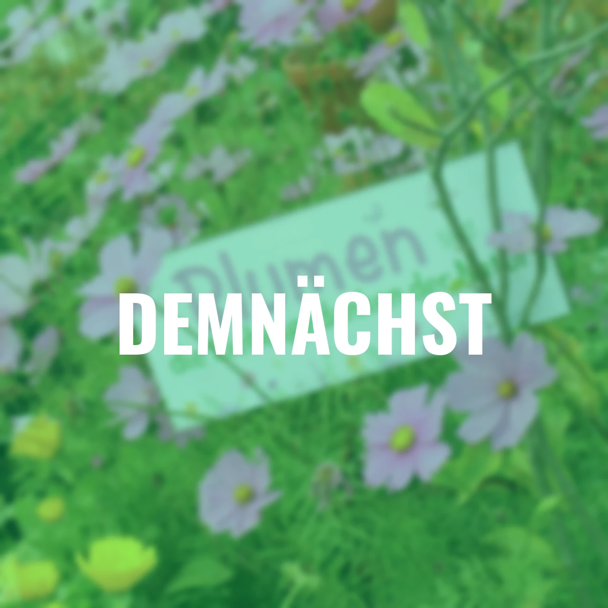Metall-Schild, Blumen sind…,