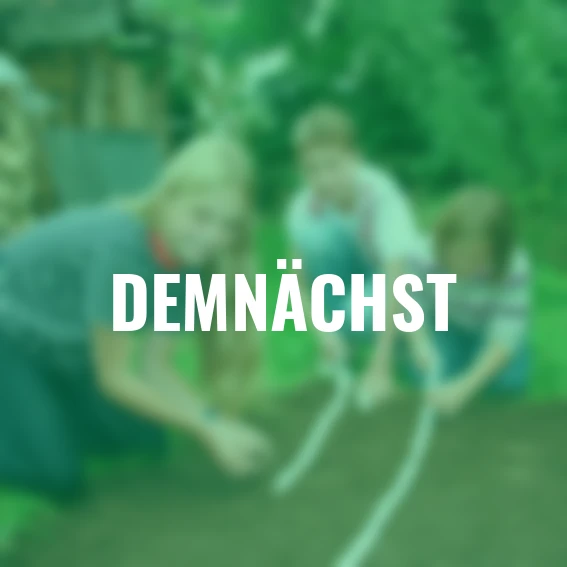 Saatband-Set Gemüse, 5 x 6 m