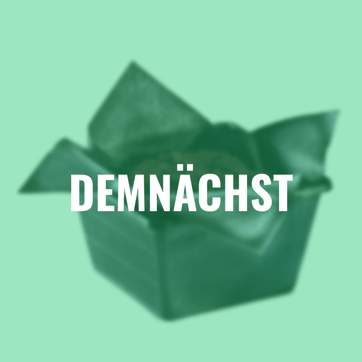 Pflanzkörbe-Vlies, 45x45 cm, schwarz