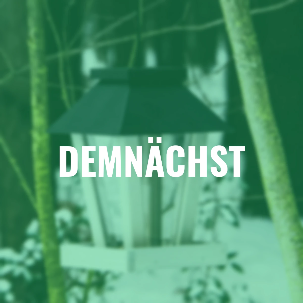 Futterstelle Plexi XL, 18,5x18,5x27 cm