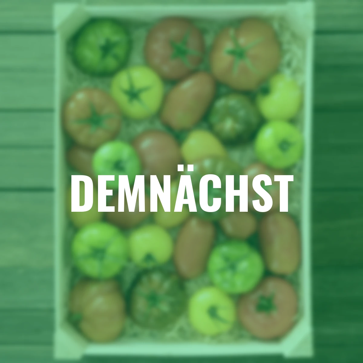 Saatgut-Holzbox Tomaten, 7 BIO-Saatgut-Sorten