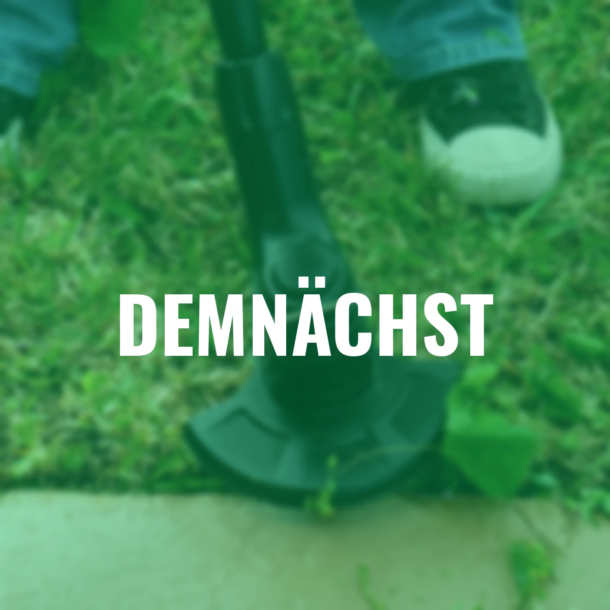 Rasentrimmer Bionic, teleskopierbar, Lithium-Ionen-Akku