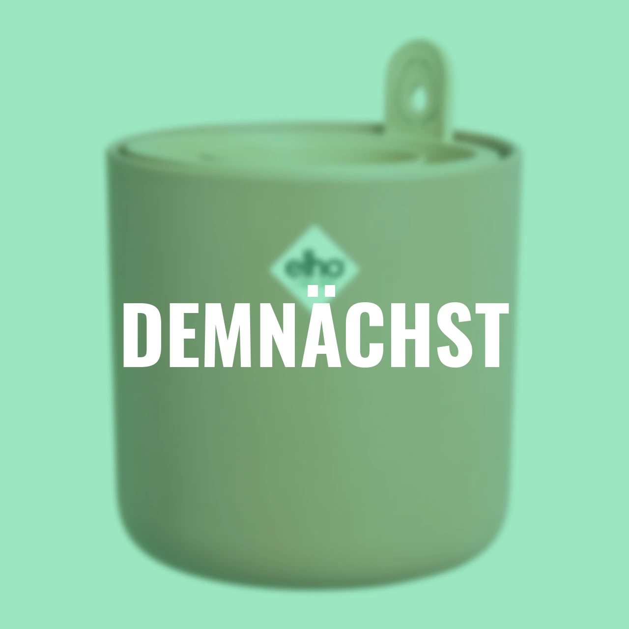 Avocado-Topf Amazing Avocado 12 cm terracotta