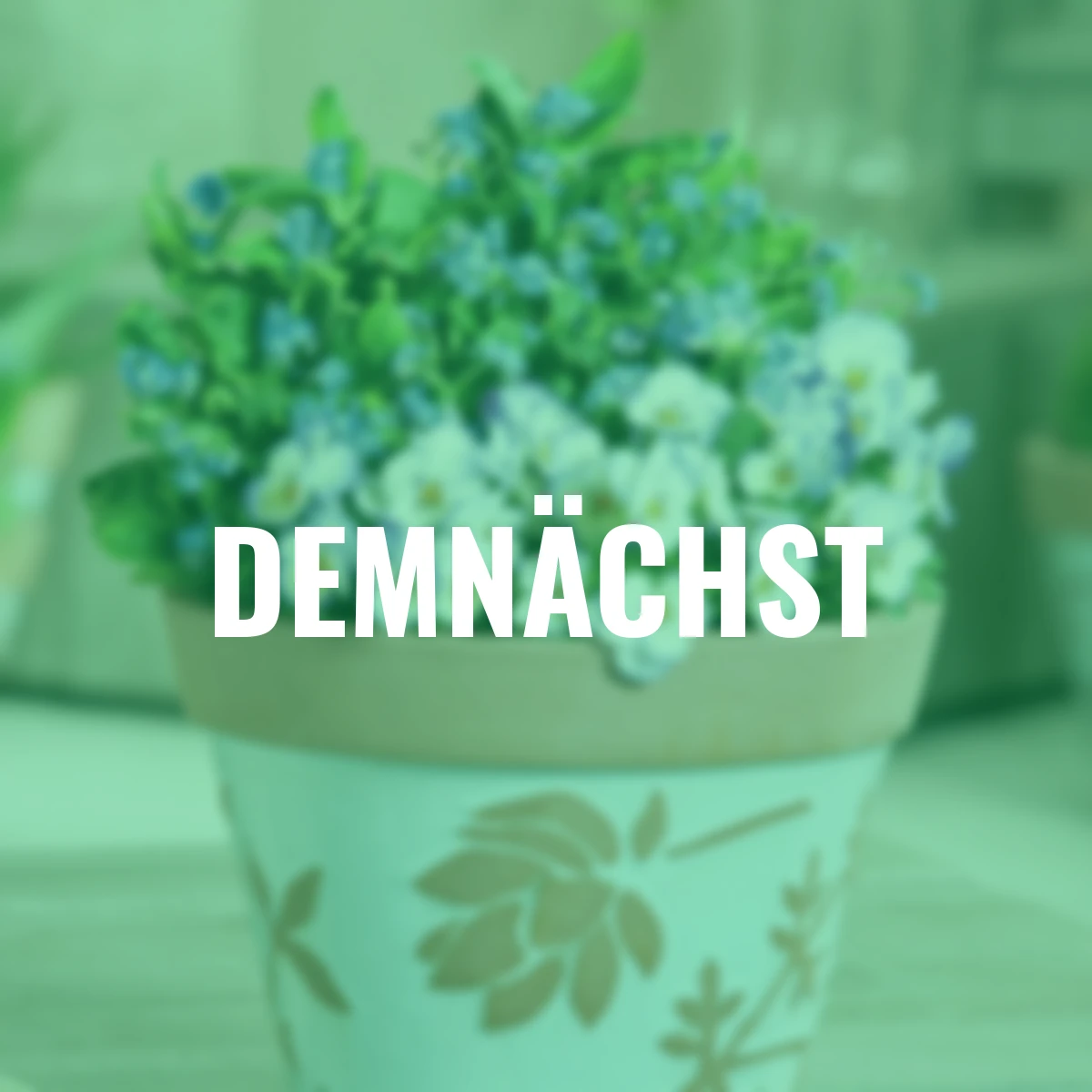 Frühblüher-Set Blaues Frühlingserwachen