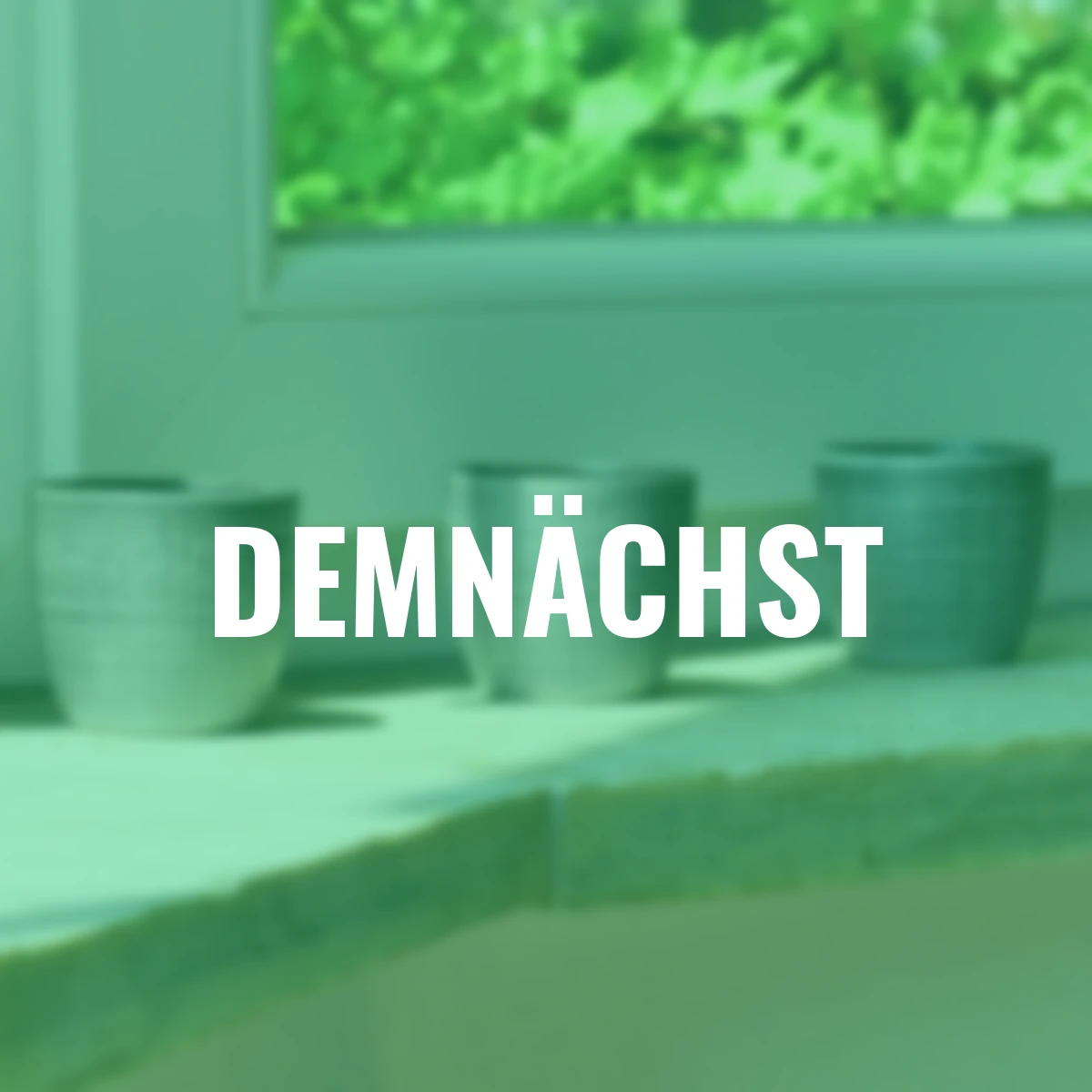 3er-Set Keramik-Übertöpfe 6cm, Grau