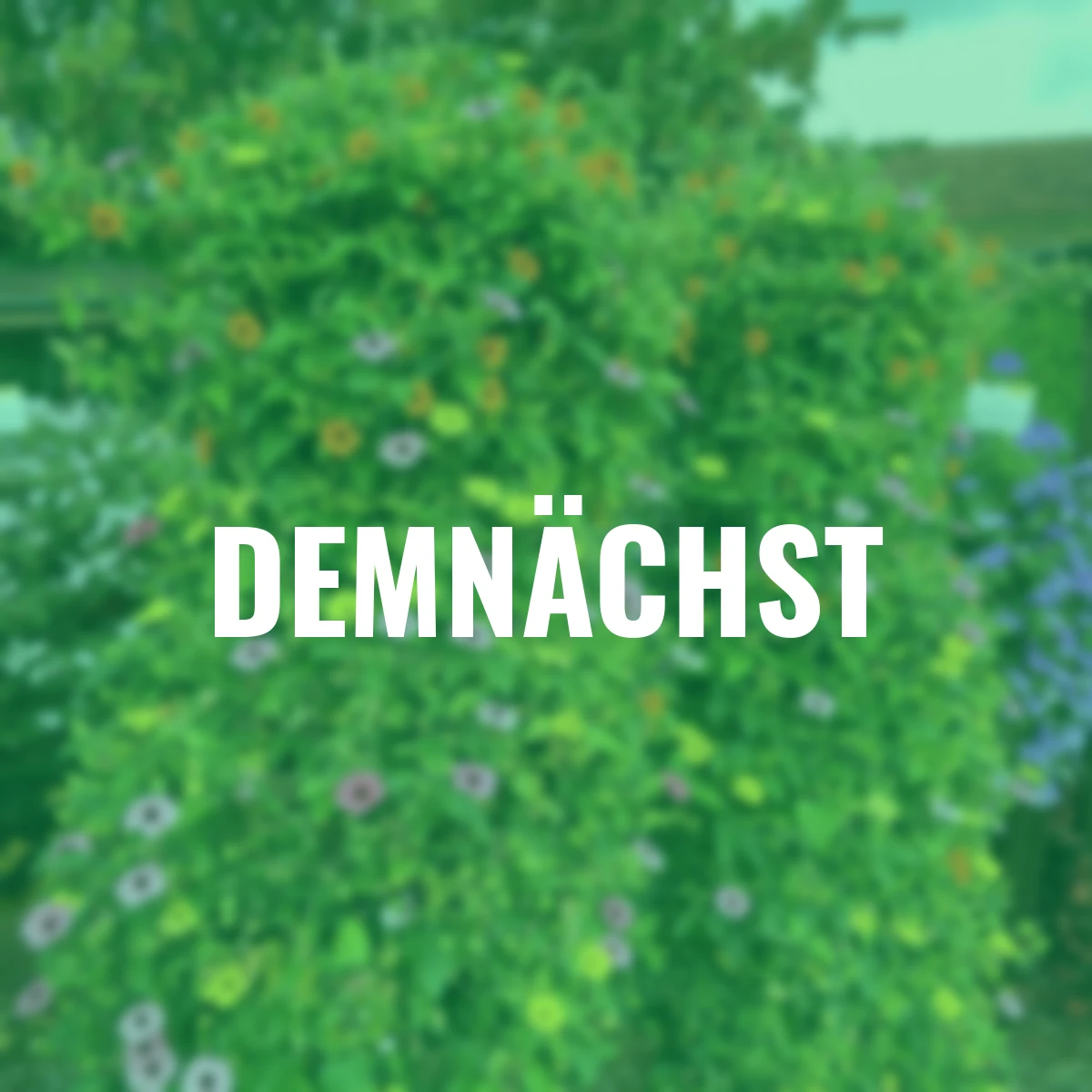 Schwarzäugige Susanne, Trio Pyramide