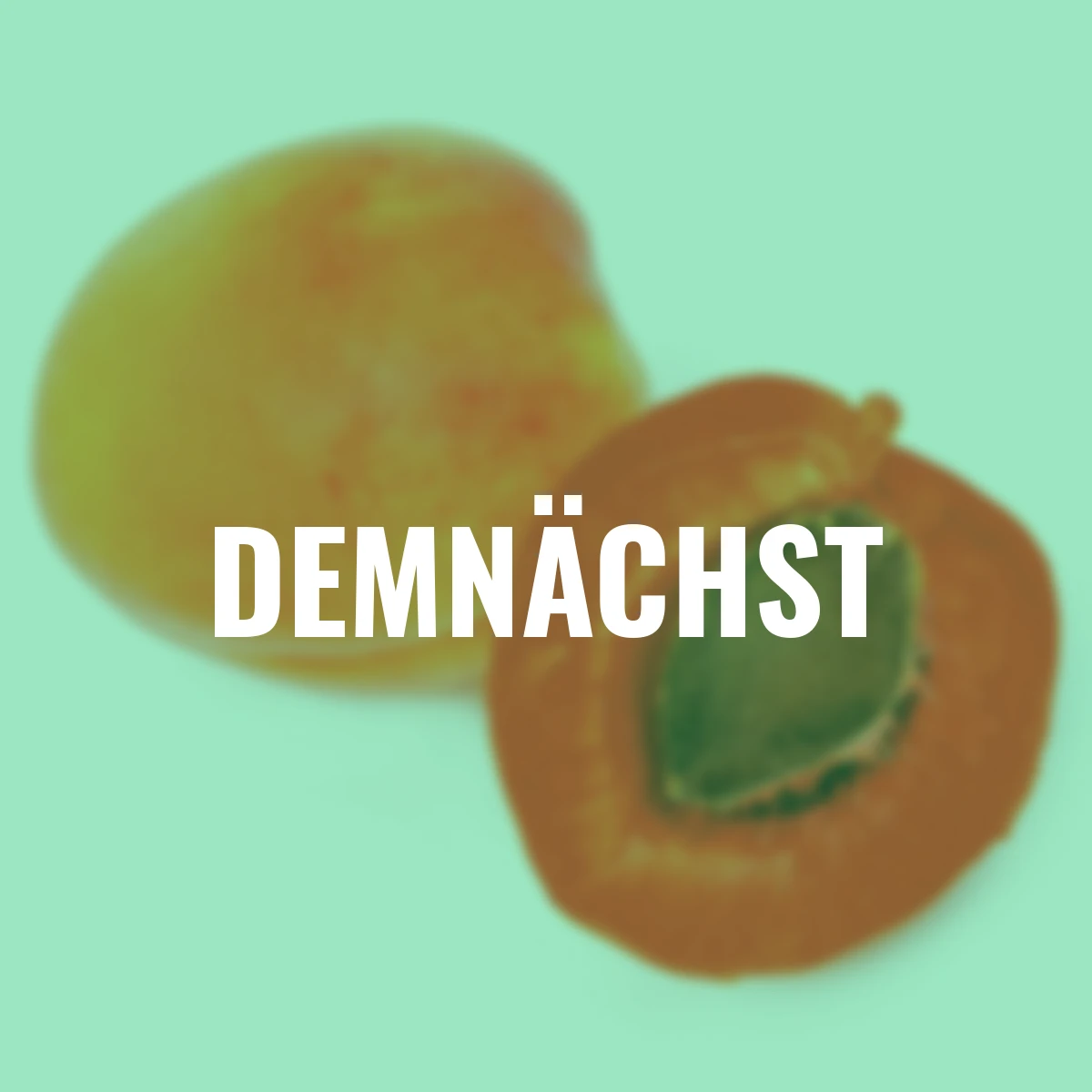 Rotfleischige Aprikose Vampira