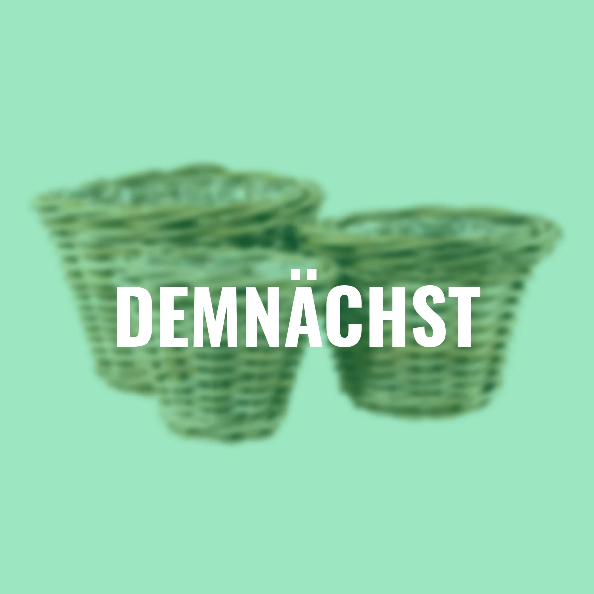 Rattan-Pflanztopf, rund, 3er-Set, natur