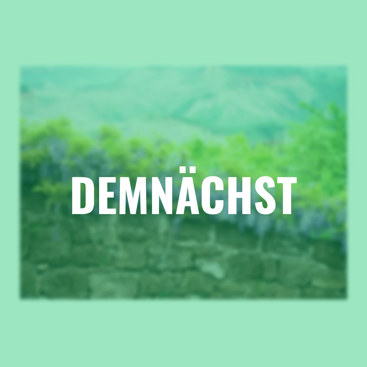 Gartenposter Blue Rain 210 x 140 cm