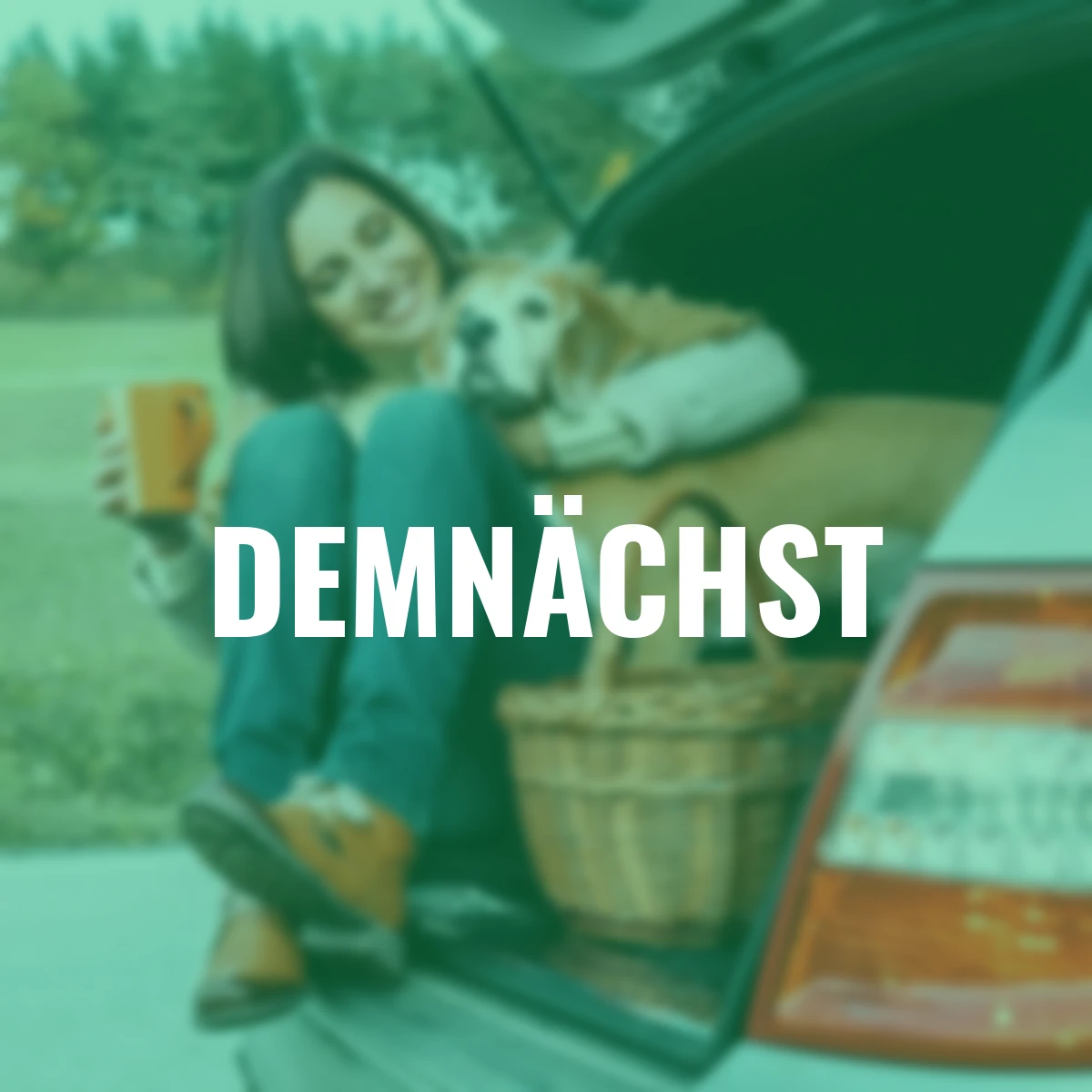 Hunde Kofferraumschutz, schwarz, 155x104x33 cm