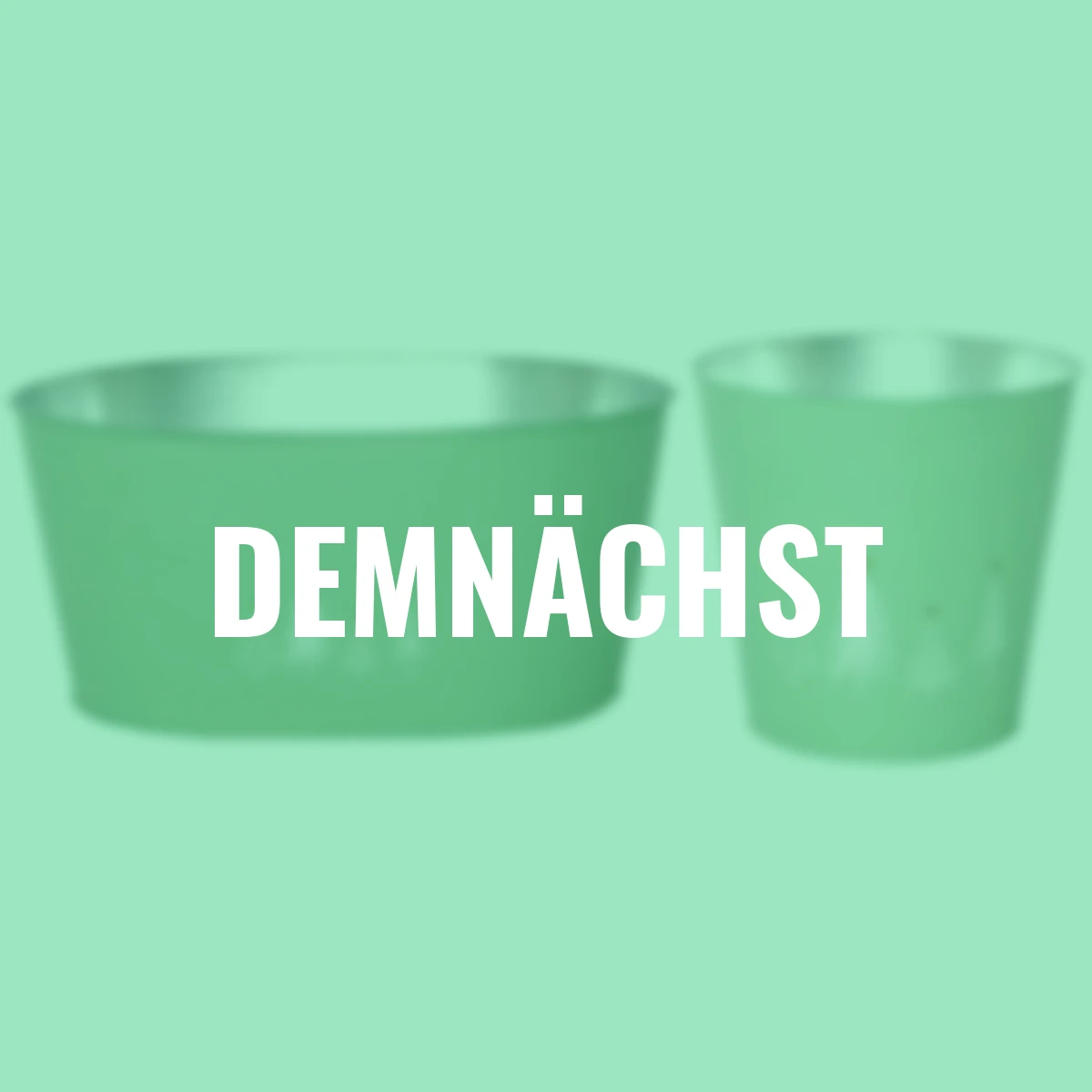 Pflanzschale, 2er-Set