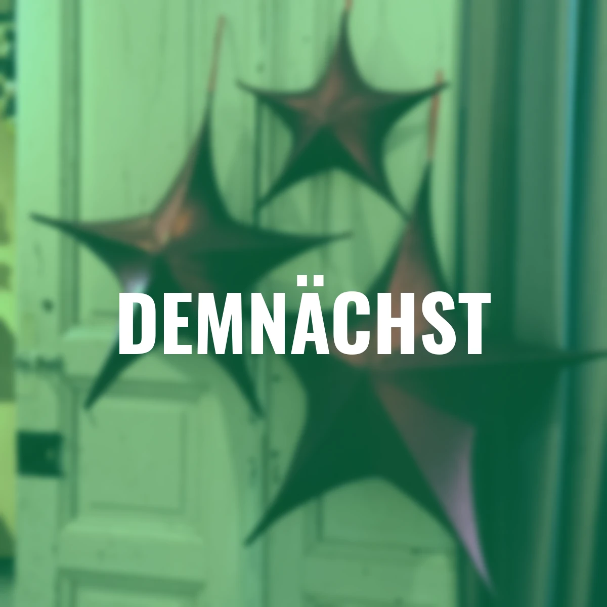 Bezaubernder Dekostern, 40 cm, rot