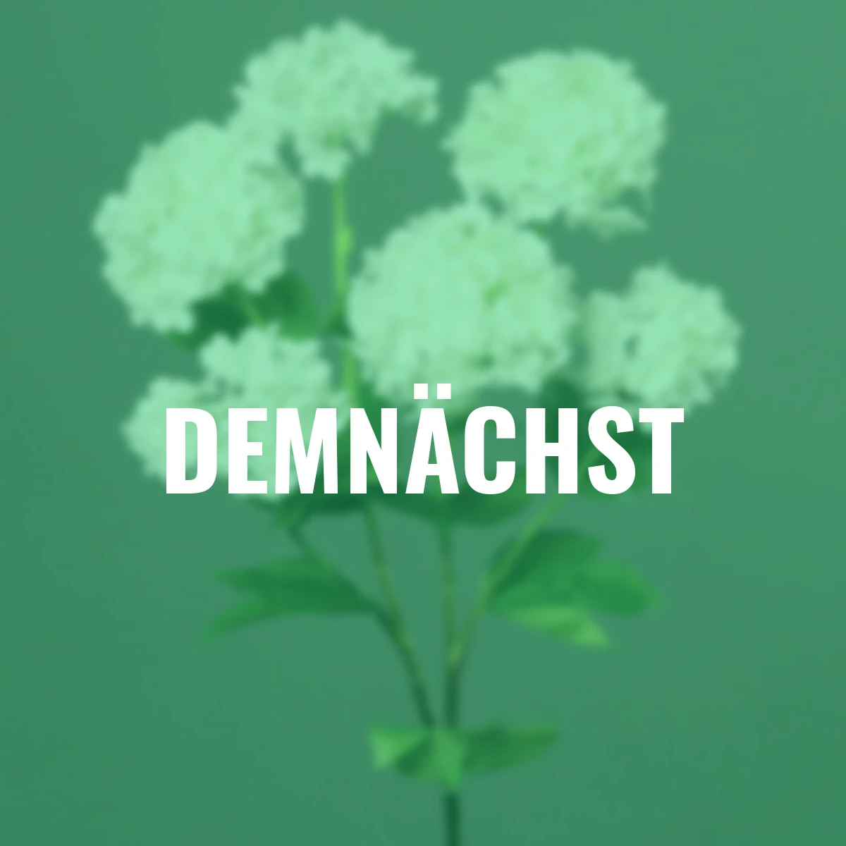 Kunstpflanze Schneeball, creme