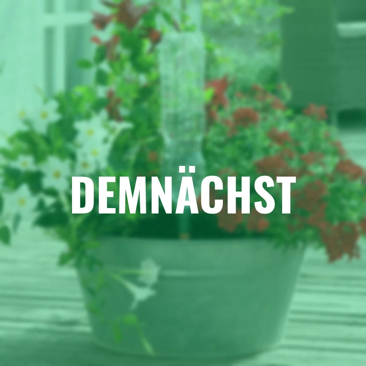 Flaschenadapter Easy