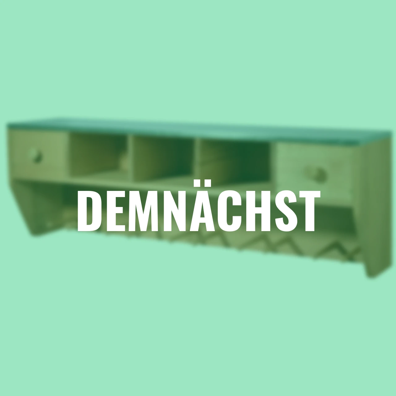 Pflanztisch mit Schubladen für die Wandmontage