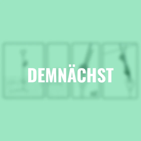 Gewächshaus Sturmanker-Set, 30-teilig