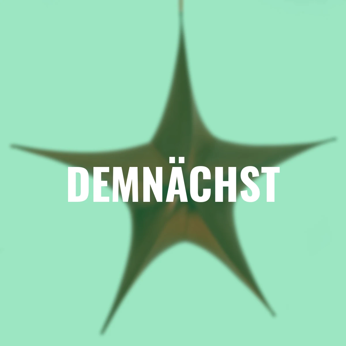 Bezaubernder Dekostern, 40 cm, rot