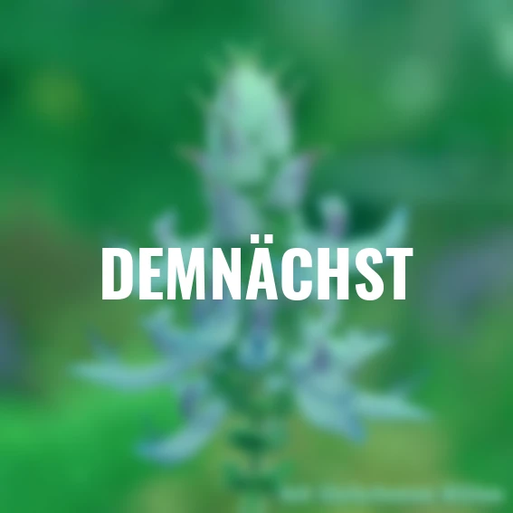 Verpiss-Dich-Pflanze