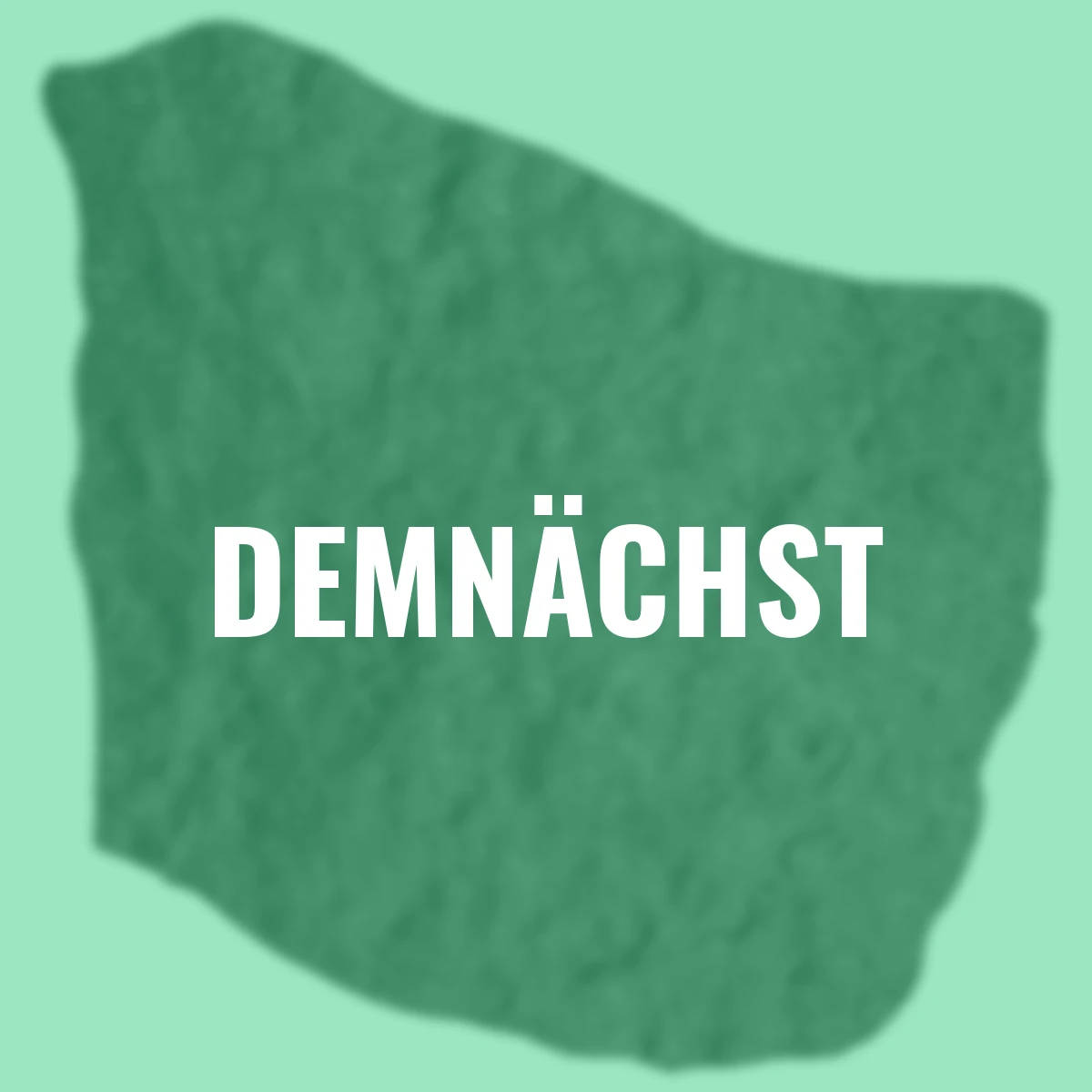 Trittstein Naturstein, 4er-Set, 45 x 55 cm, Gummi, grau