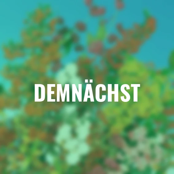 Ziergehölz-Set Beerenpracht