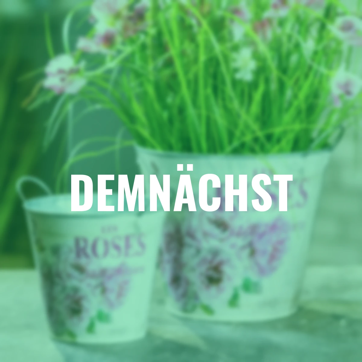 Zinktopf mit Rosenmotiv, 2er Set, klein