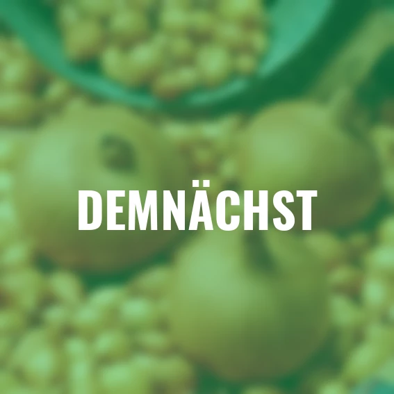 Steckzwiebel Sturon, 250 g