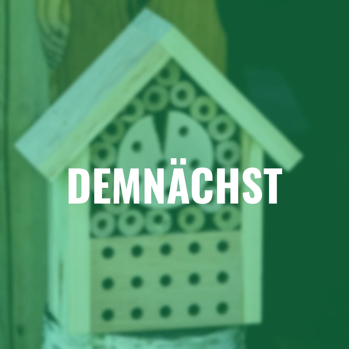 Insektenhotel Starter II, 19x8x22 cm