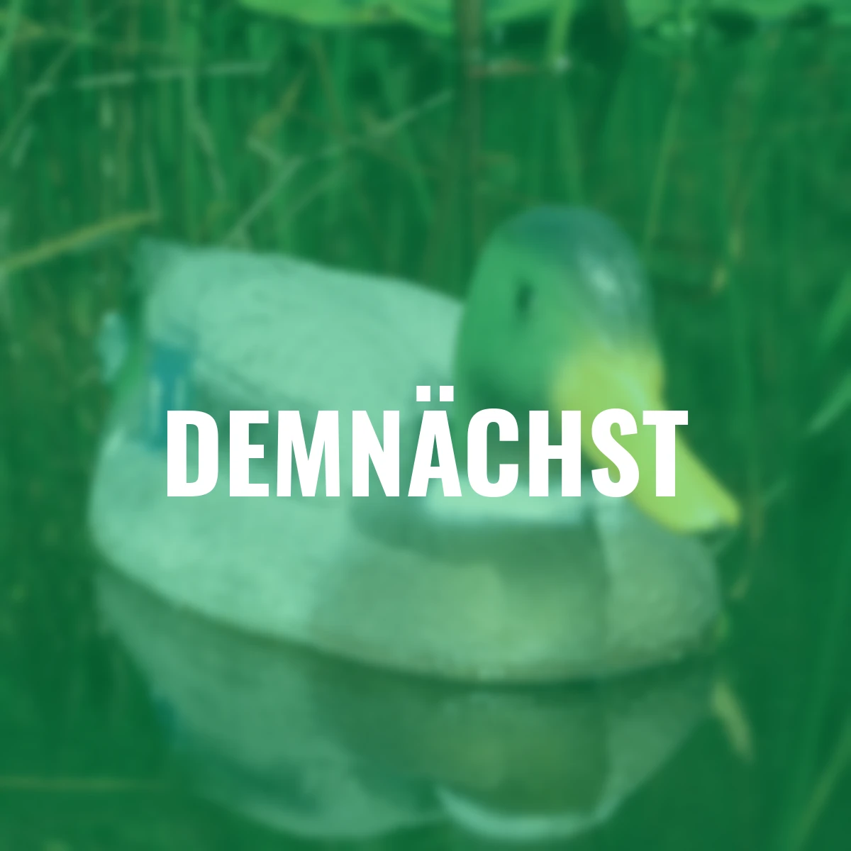 Teichfigur Schwimmente Stockerpel, B ca. 35 cm