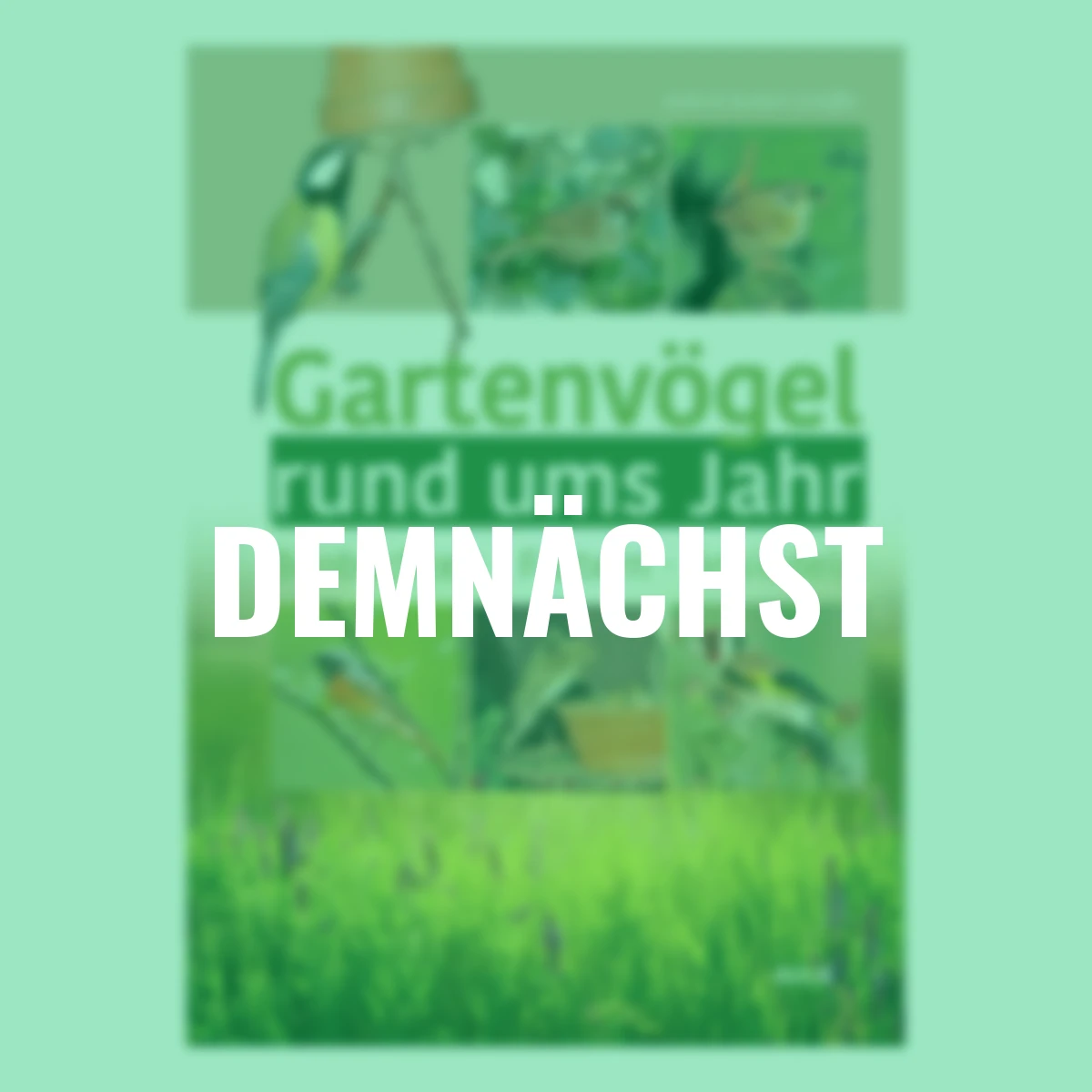 Gartenvögel rund ums Jahr -  Beobachten - Füttern - Ansiedeln
