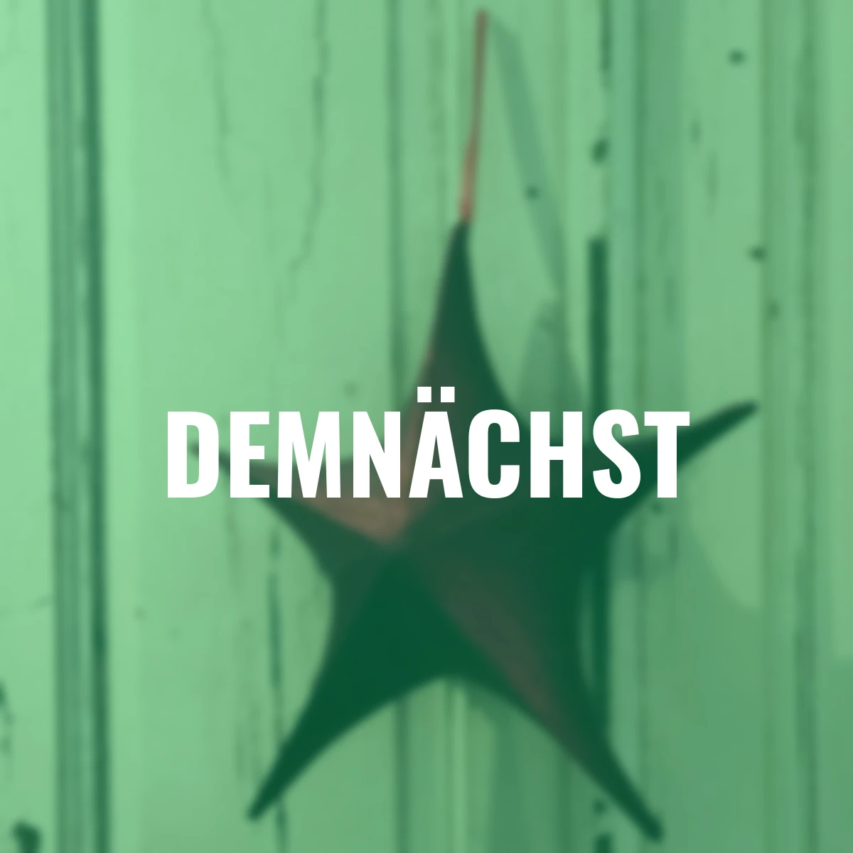 Bezaubernder Dekostern, 40 cm, rot